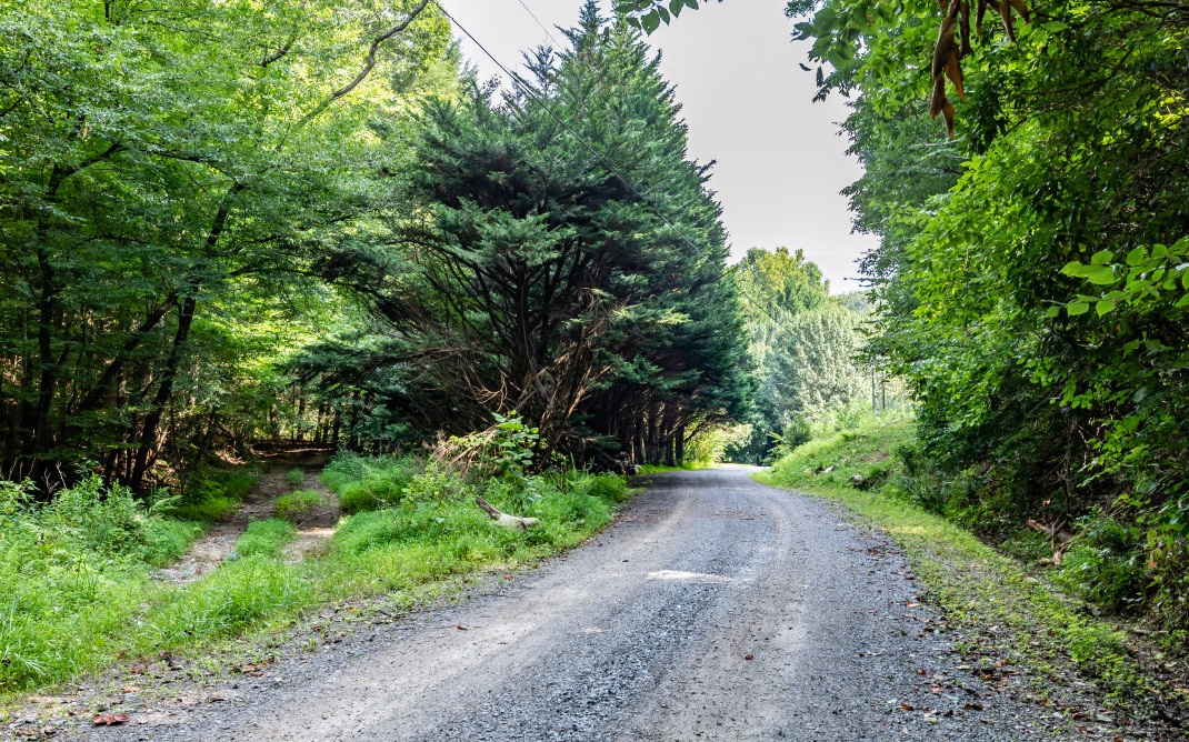 1.81 Jones Road Ellijay, GA 30536 - Photo 3 of 4 Additional View
