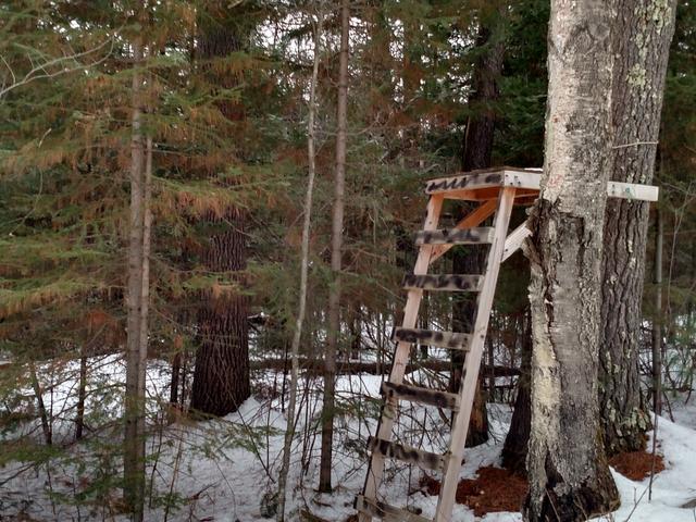Off Of Rueckert Road, Unit PE 329 Rhinelander, WI 54501 - Photo 7 of 7 Gallery Image 7