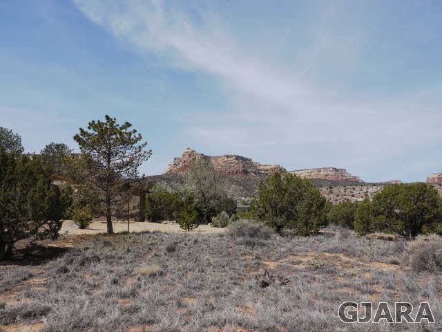 309 Rimrock Court Grand Junction, CO 81507 - Photo 21 of 25 Gallery Image 21