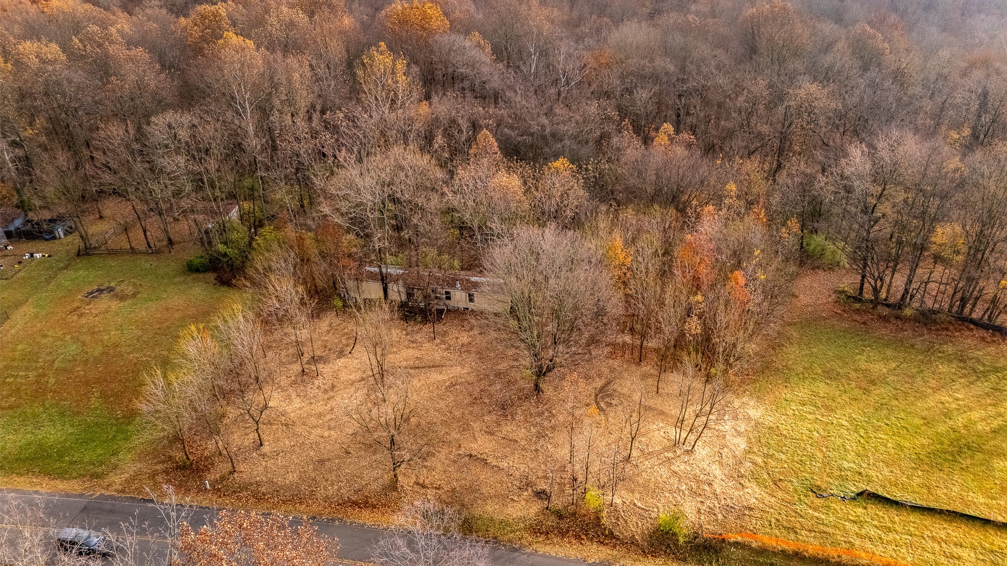 1880 Sugar Ridge Road Spring Hill, TN 37174 - Photo 12 of 18 a view of a yard