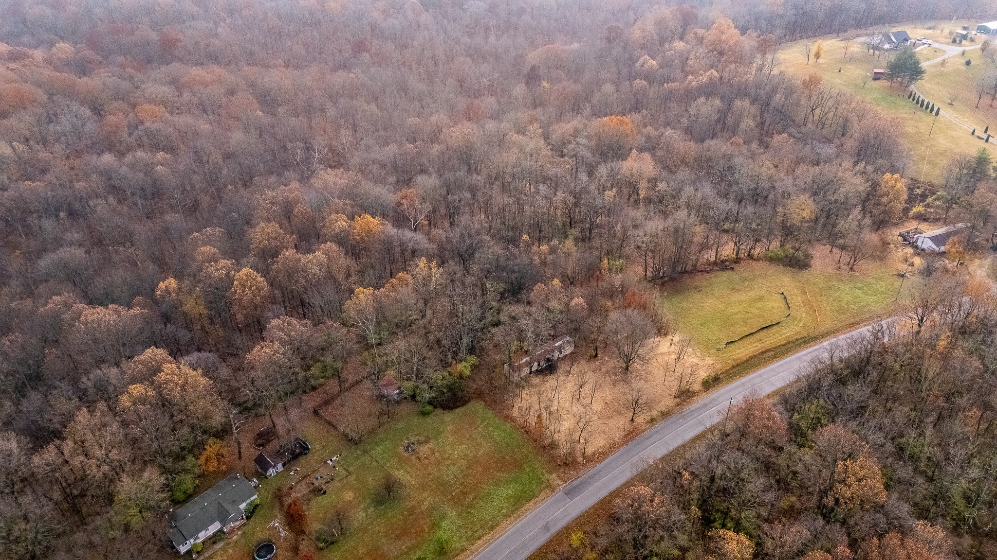 1880 Sugar Ridge Road Spring Hill, TN 37174 - Photo 4 of 18 a view of a yard with a tree