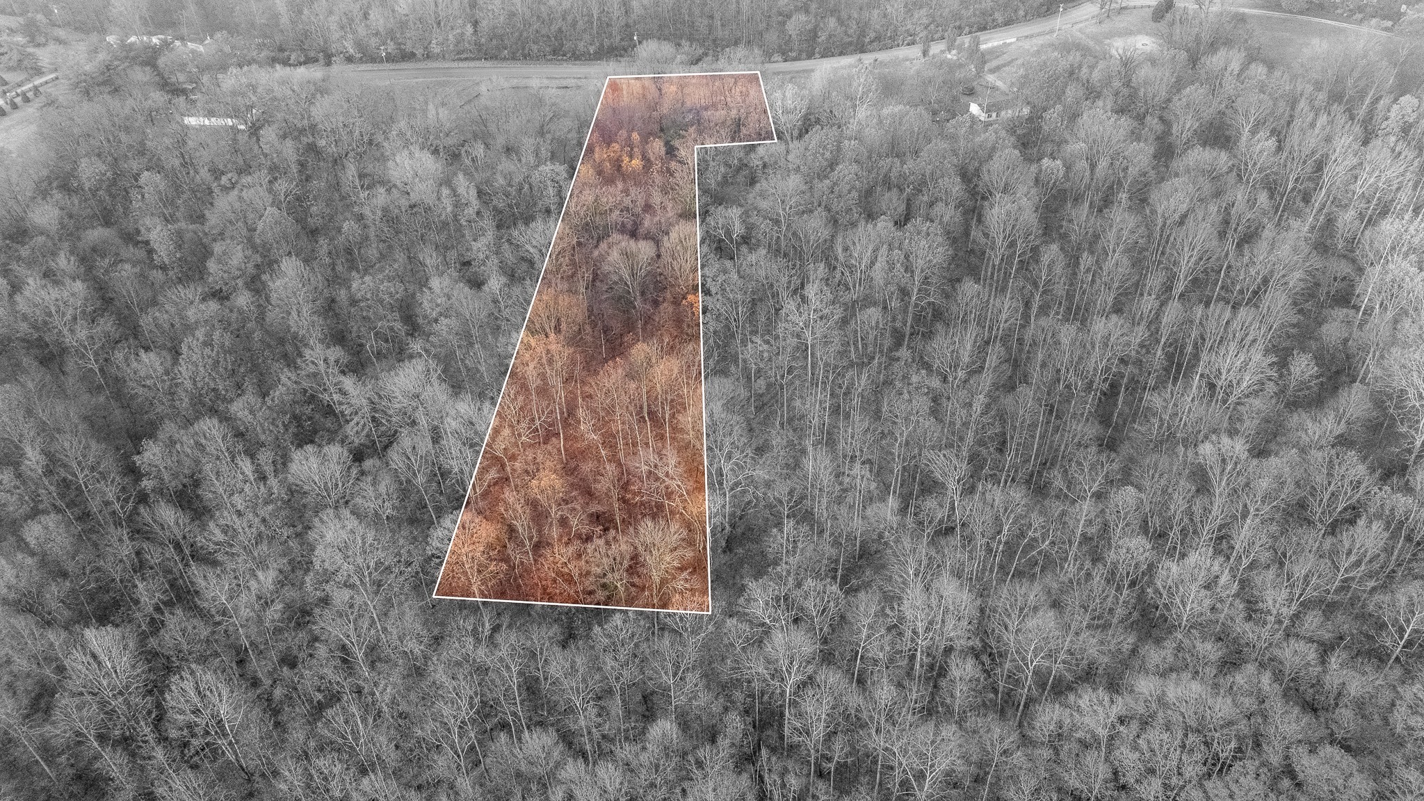 1880 Sugar Ridge Road Spring Hill, TN 37174 - Photo 6 of 18 a view of a dry yard