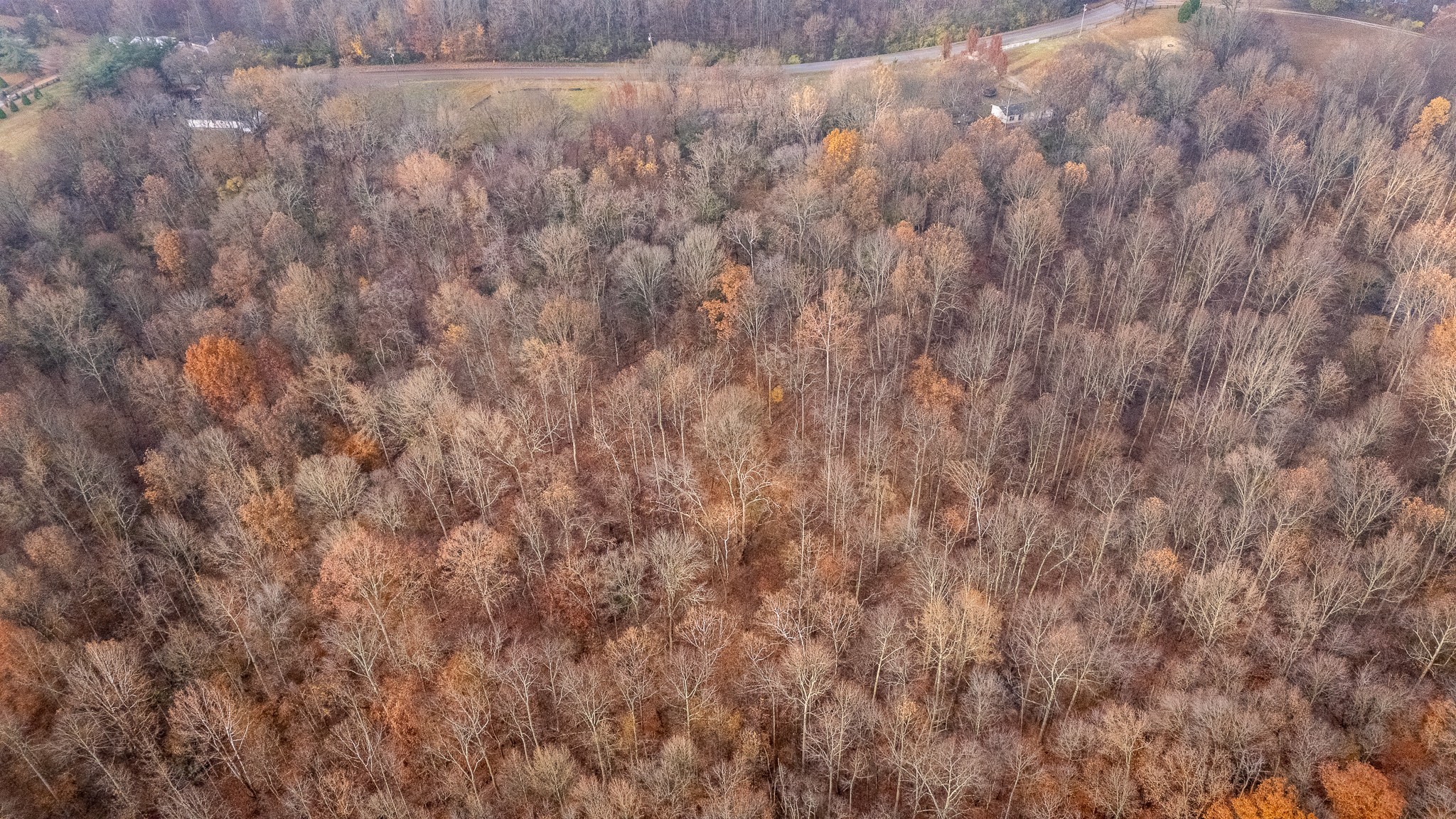 1880 Sugar Ridge Road Spring Hill, TN 37174 - Photo 7 of 18