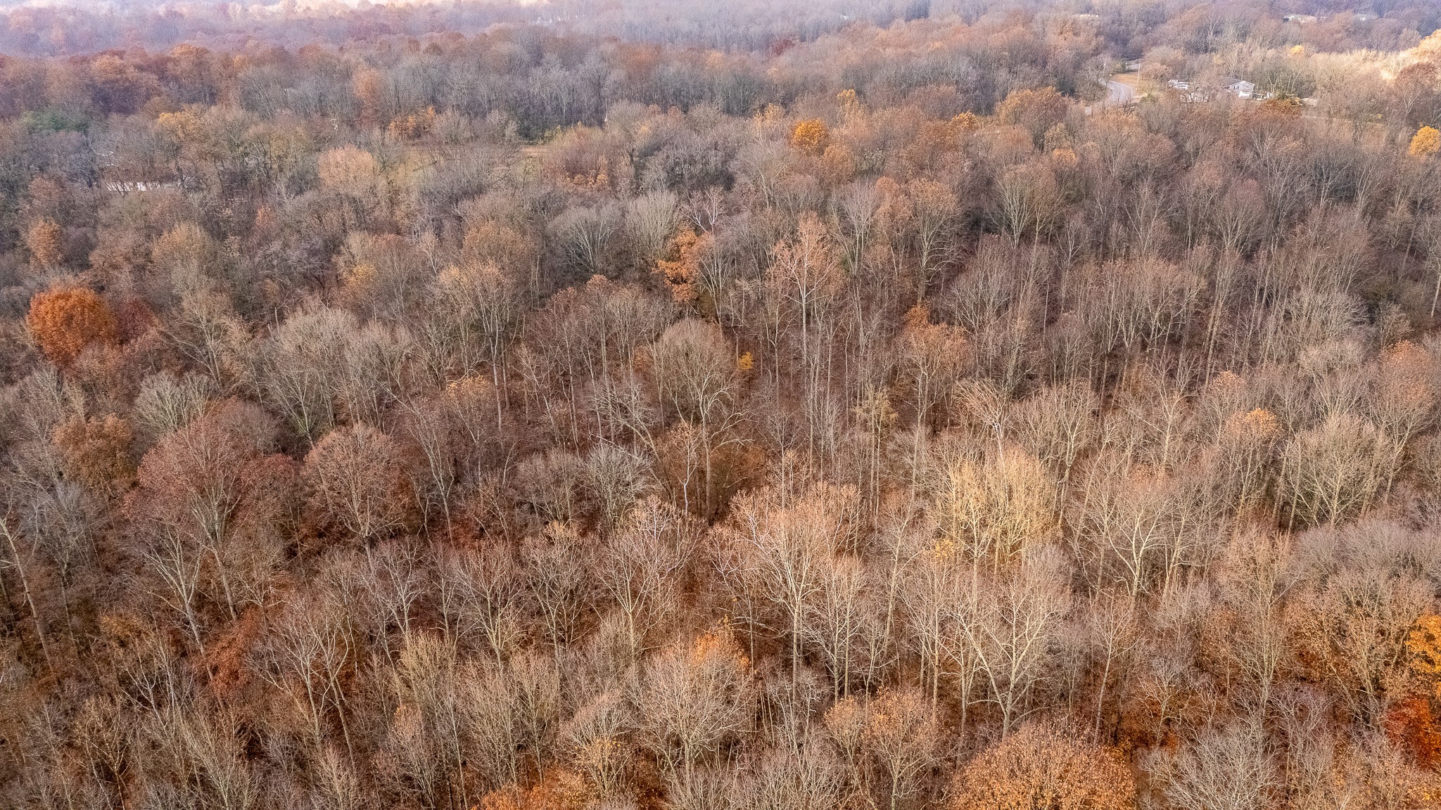 1880 Sugar Ridge Road Spring Hill, TN 37174 - Photo 8 of 18 a view of a yard