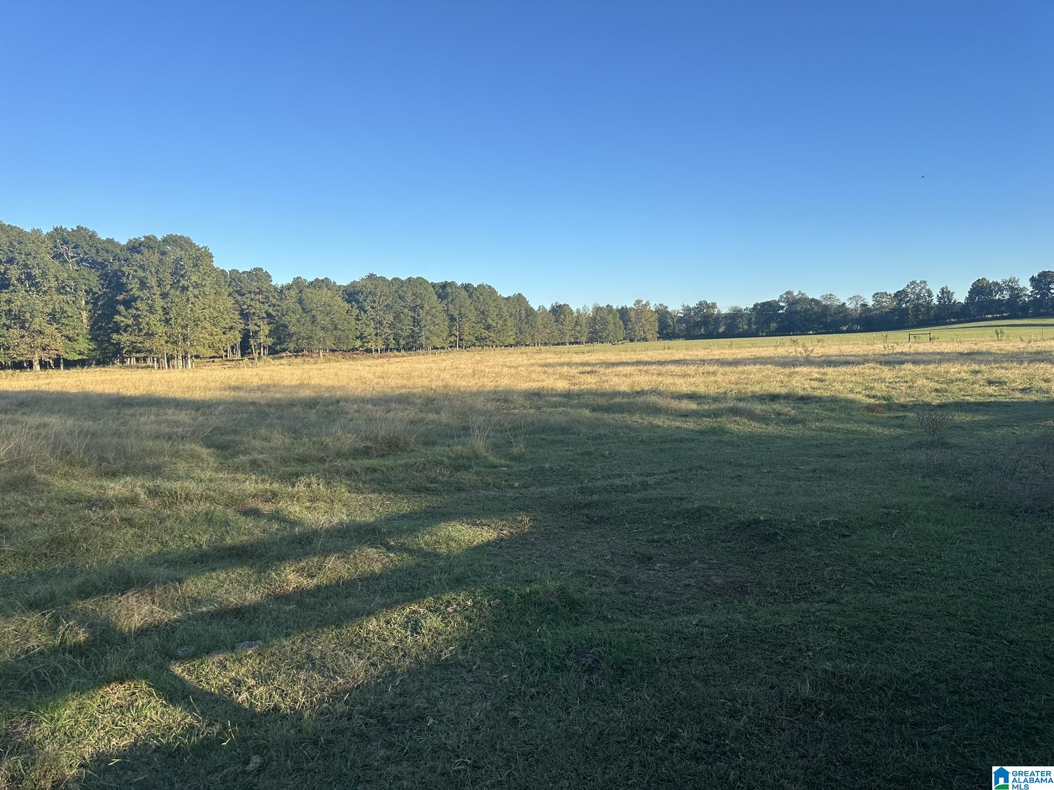 390 Limbaugh Road Sylacauga, AL 35150 - Photo 39 of 39