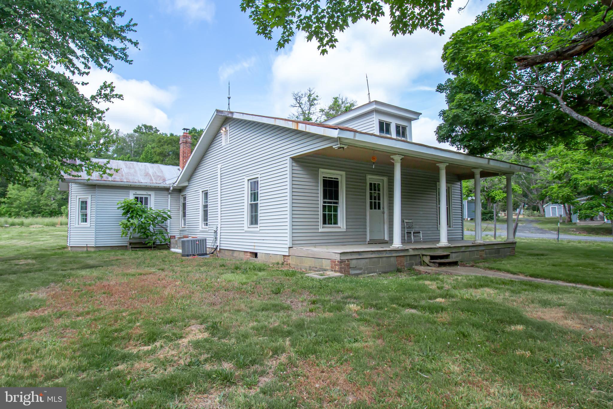 a view of a yard in front of a house with plants and large tree