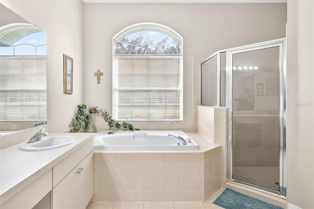 8518 West Knights Griffin Road Plant City, FL 33565 - Photo 41 of 74 a bathroom with a tub sink and mirror