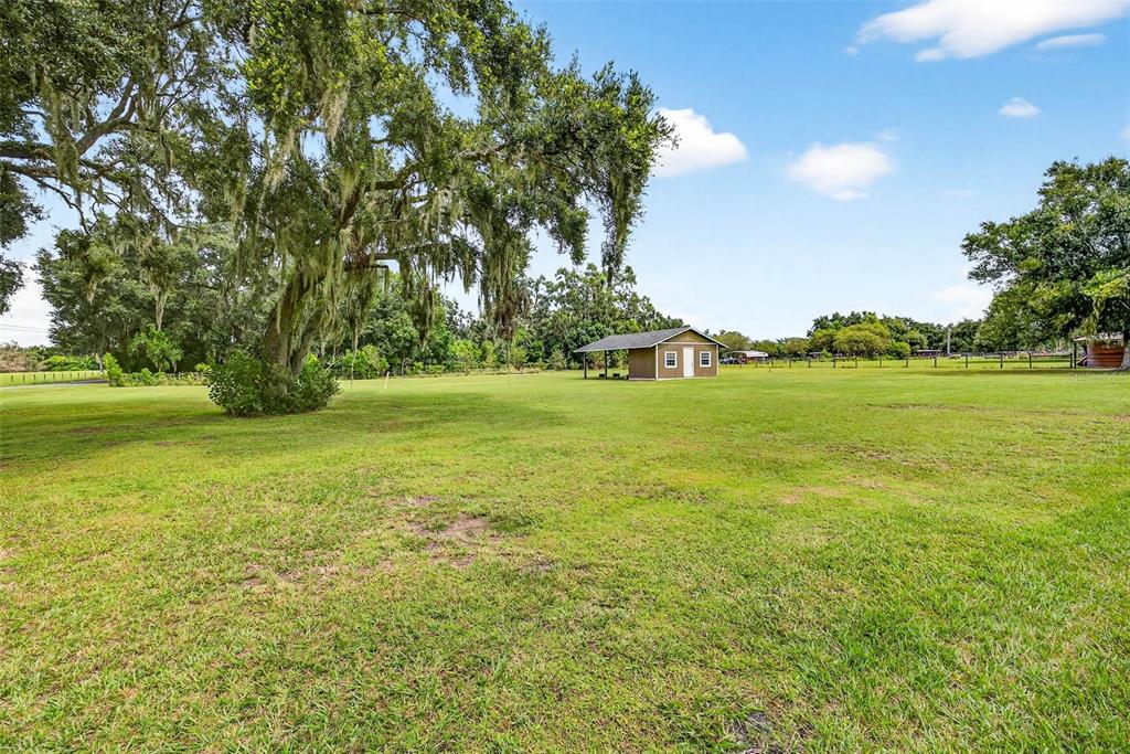 8518 West Knights Griffin Road Plant City, FL 33565 - Photo 61 of 74 a view of a green field with an trees