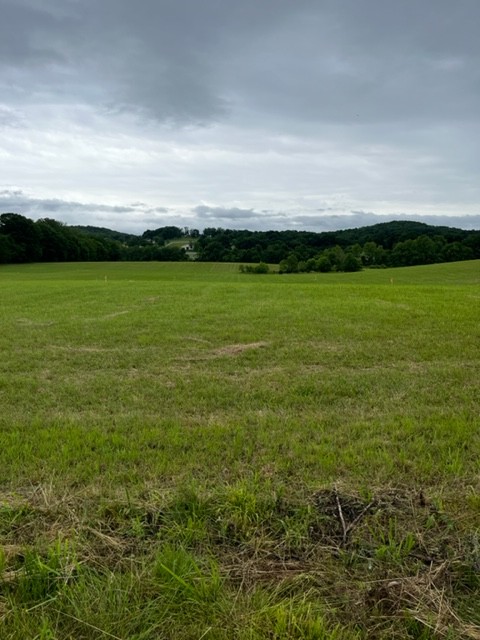 a view of outdoor space with field
