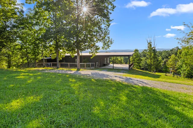 a view of a city with lush green forest