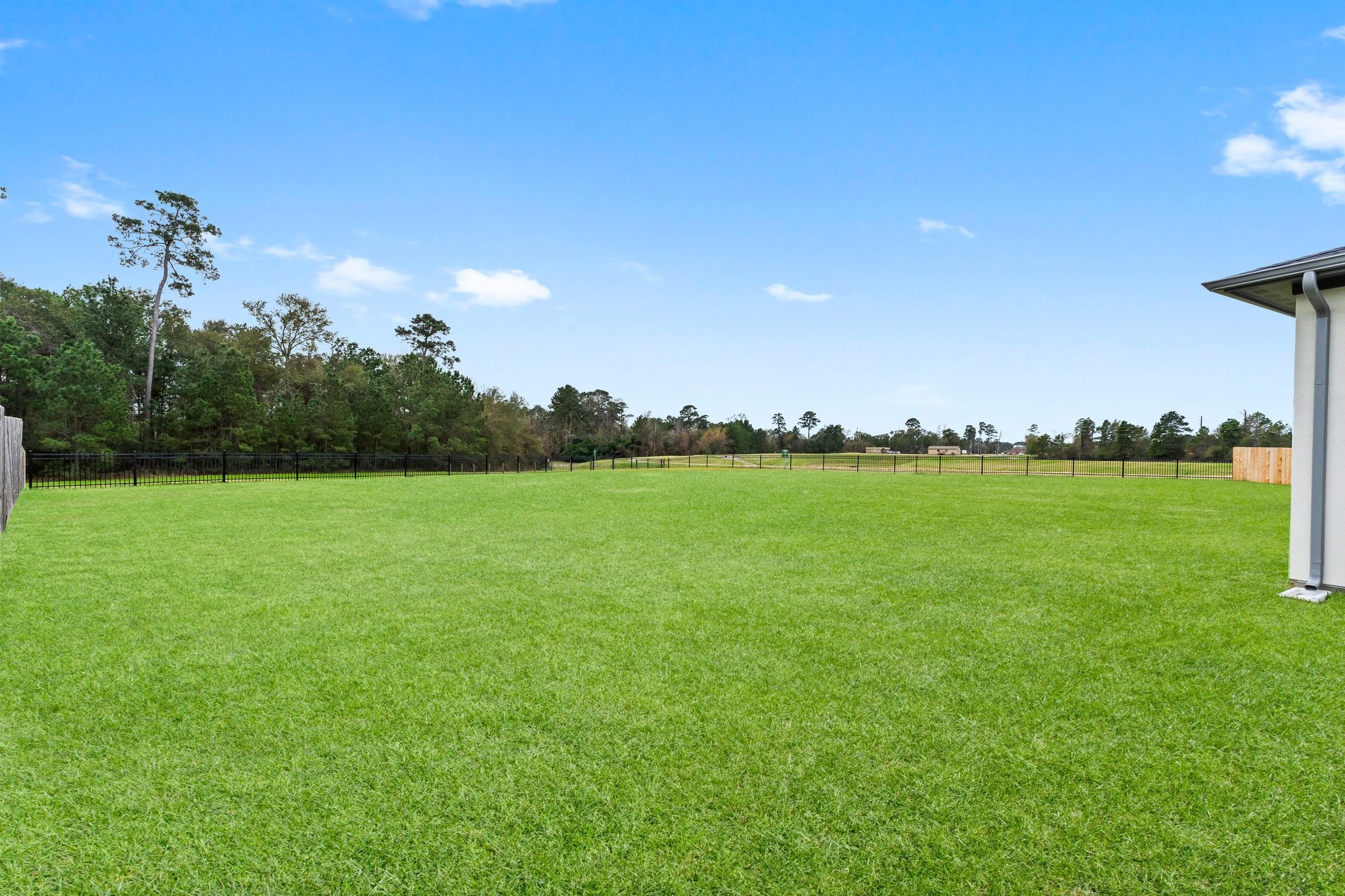 7315 Julie Pond Lane Spring, TX 77389 - Photo 45 of 48