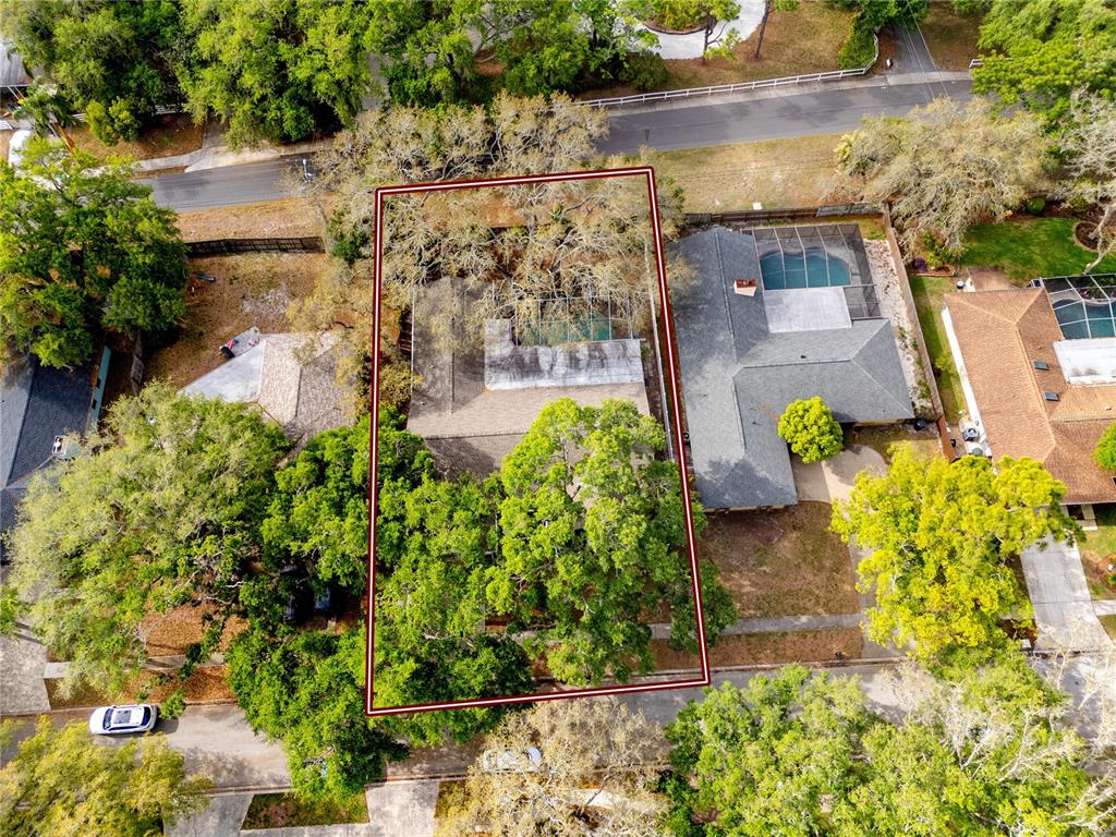 27 Summit Lane Safety Harbor, FL 34695 - Photo 44 of 48 a view of yard