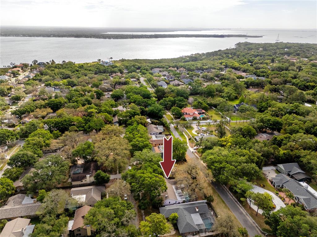 27 Summit Lane Safety Harbor, FL 34695 - Photo 45 of 48