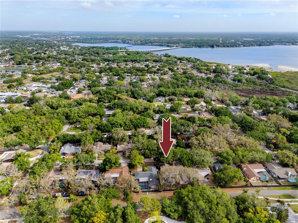 27 Summit Lane Safety Harbor, FL 34695 - Photo 46 of 48 a view of a city