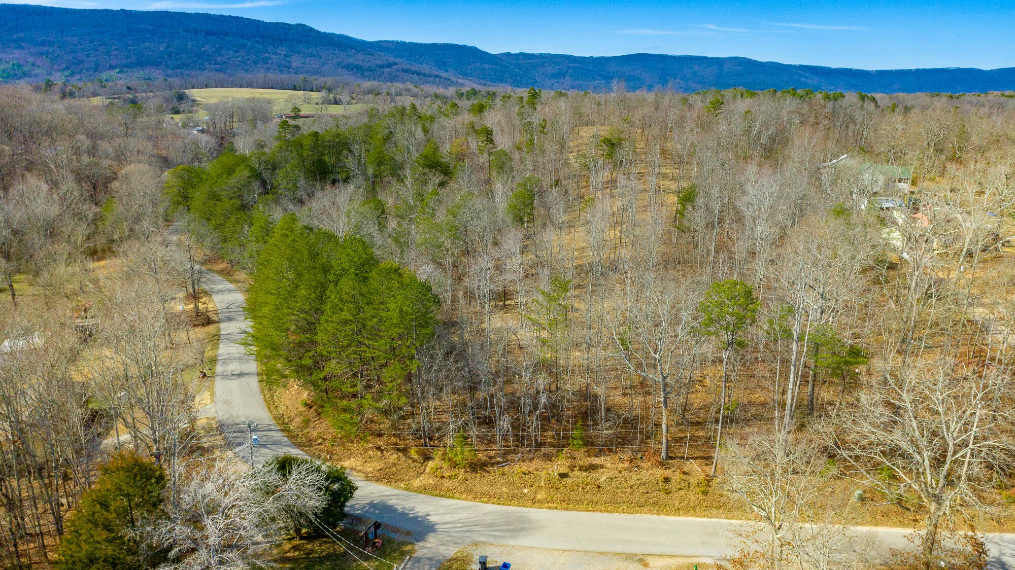 0 Akins Road Chickamauga, GA 30707 - Photo 1 of 5 Gallery Image 1