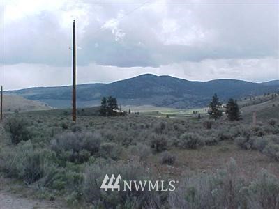 3 Moon Dust Road Tonasket, WA 98855 - Photo 1 of 1 Gallery Image 1