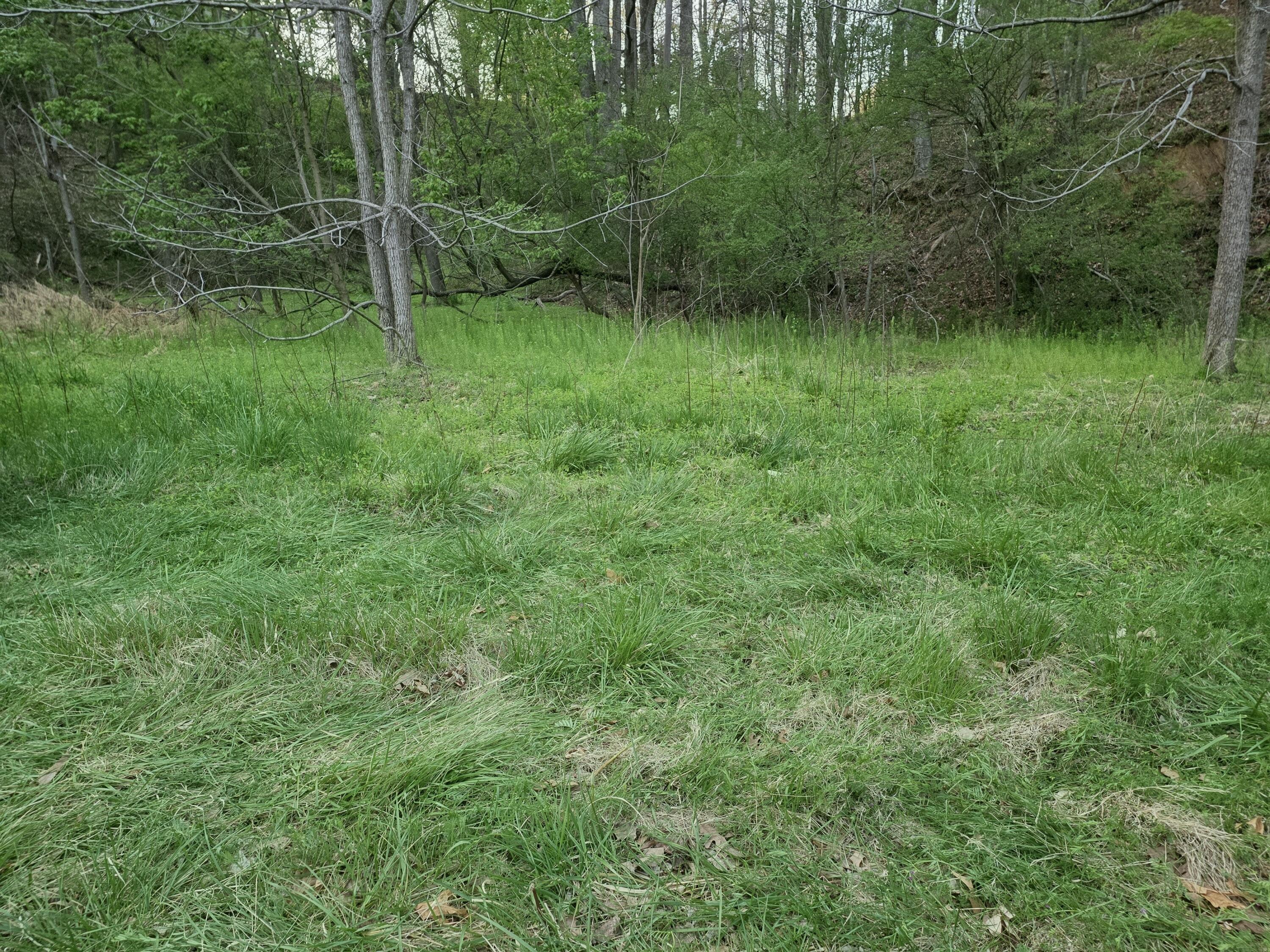 6993 Franklin Road Boones Mill, VA 24065 - Photo 3 of 6 Perfectly situated off 122