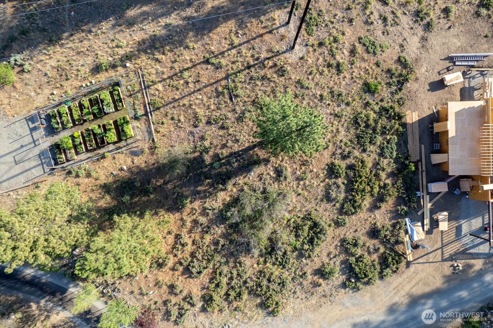 615 Pine Loop Winthrop, WA 98862 - Photo 13 of 35 a view of a street with plants and large trees