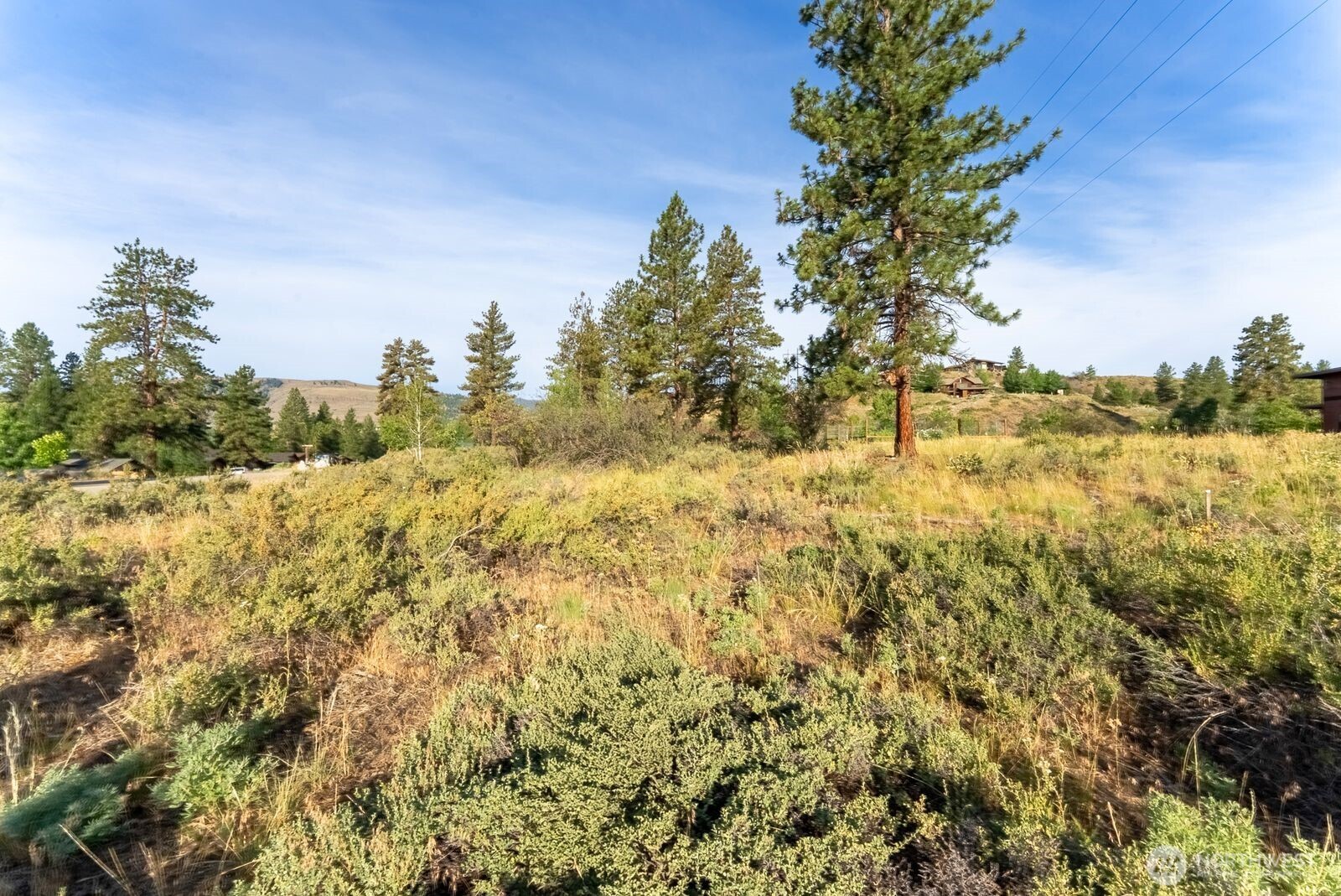 615 Pine Loop Winthrop, WA 98862 - Photo 5 of 35 a view of a yard with a tree