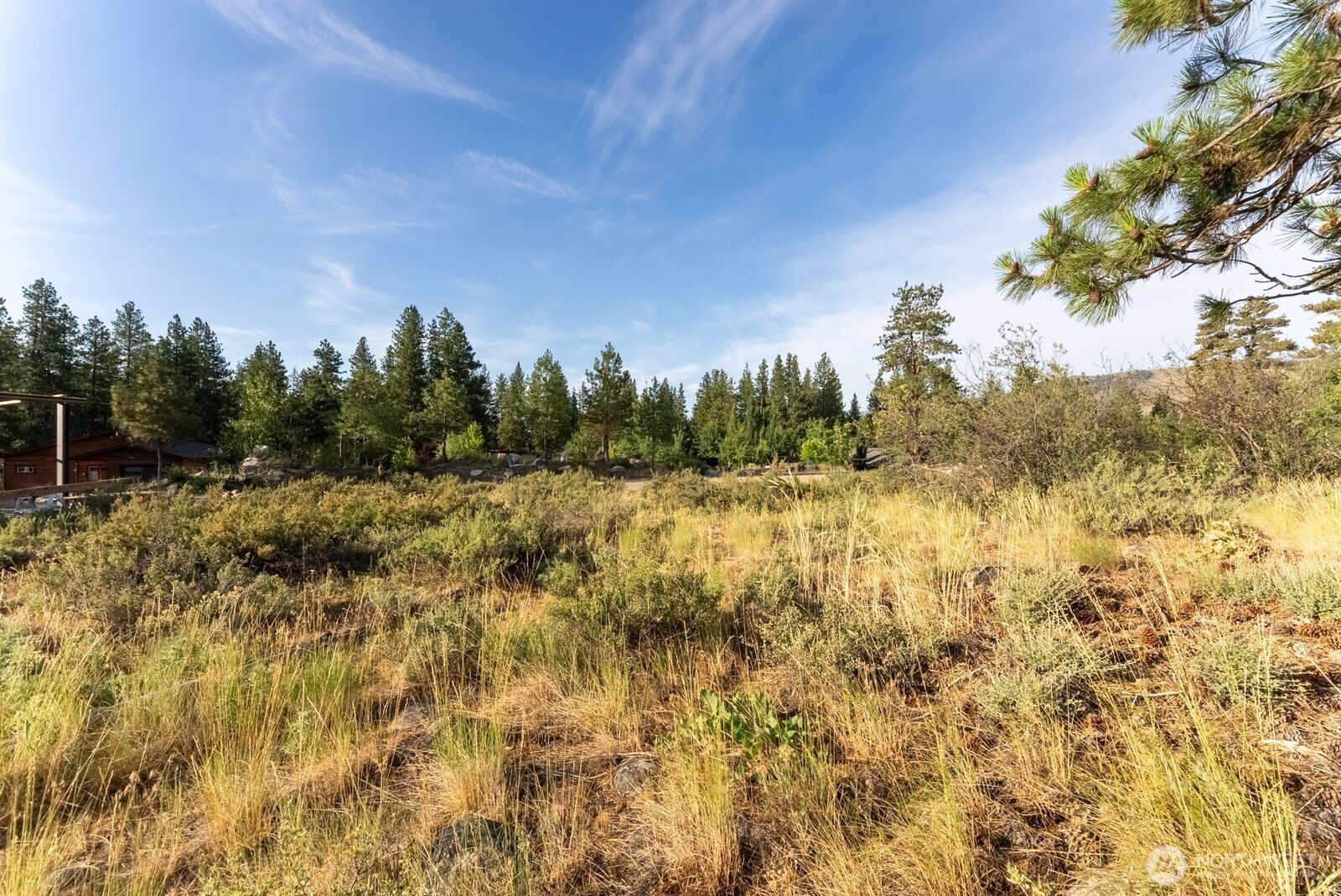 615 Pine Loop Winthrop, WA 98862 - Photo 8 of 35 a view of a yard with trees in the background