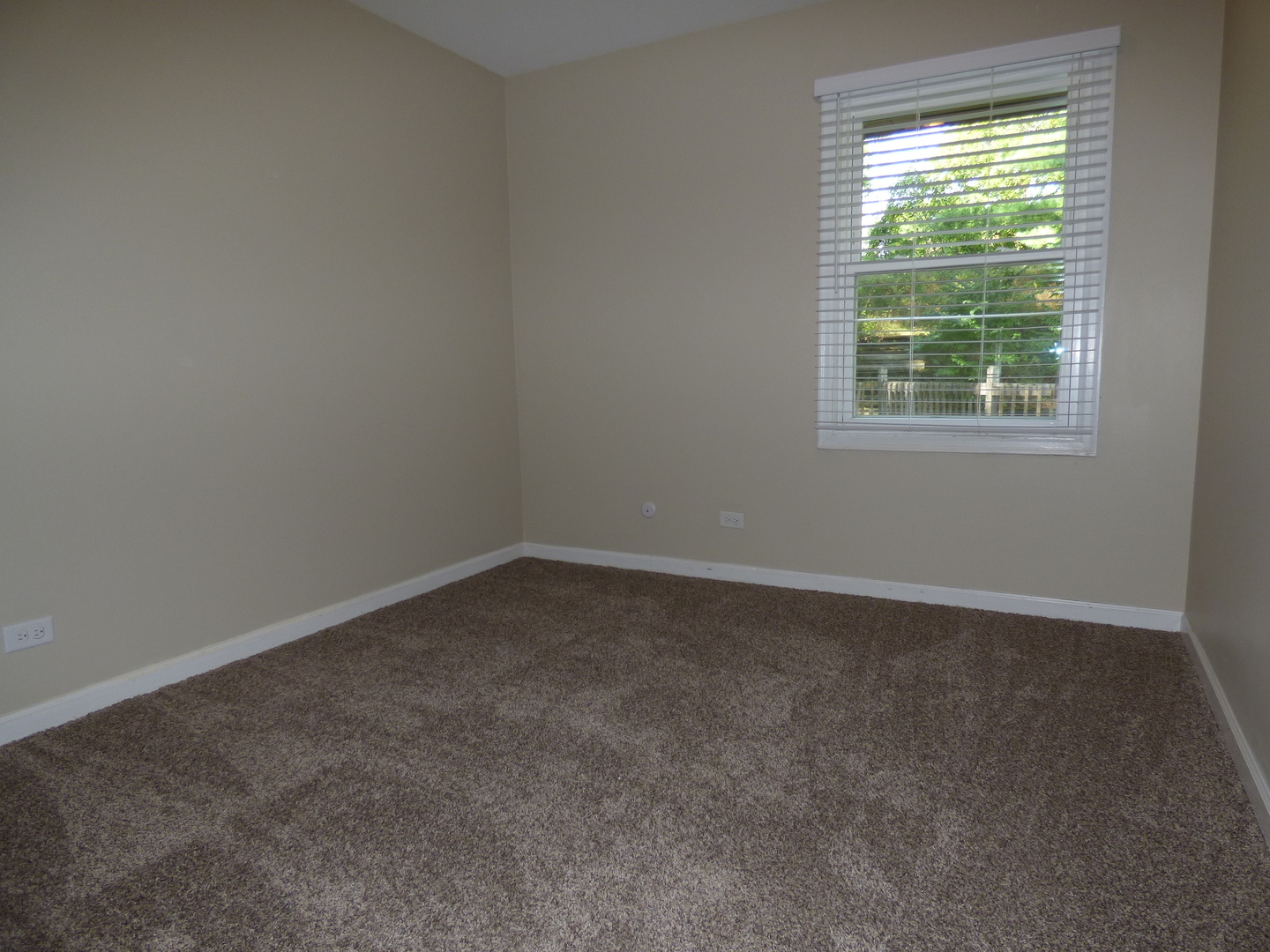266 Thomas Street Cary, IL 60013 - Photo 14 of 21