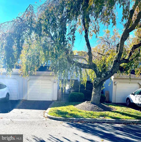 a view of a yard with plants