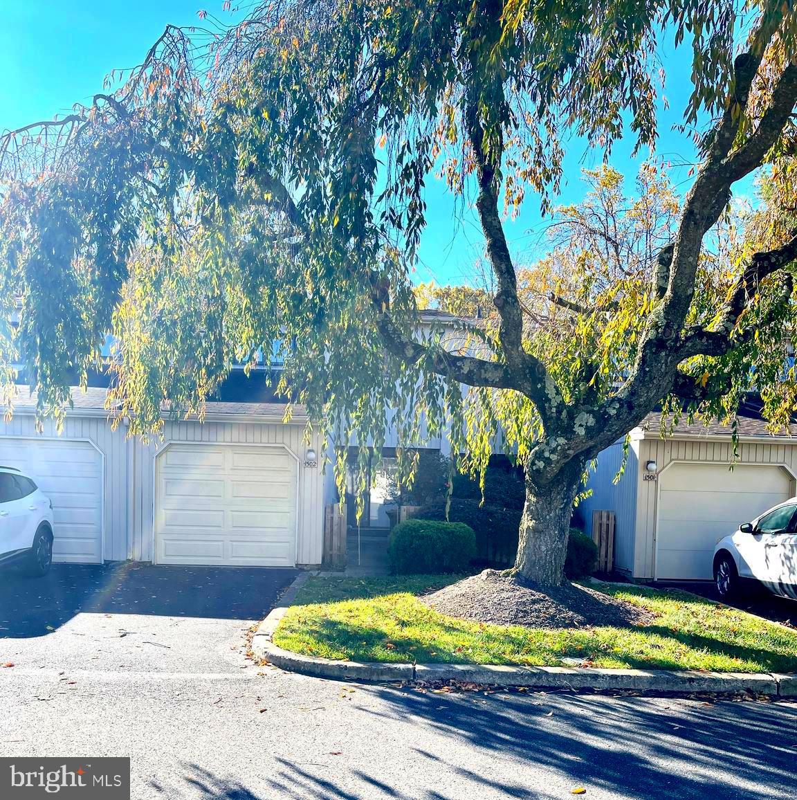 a view of a yard with plants