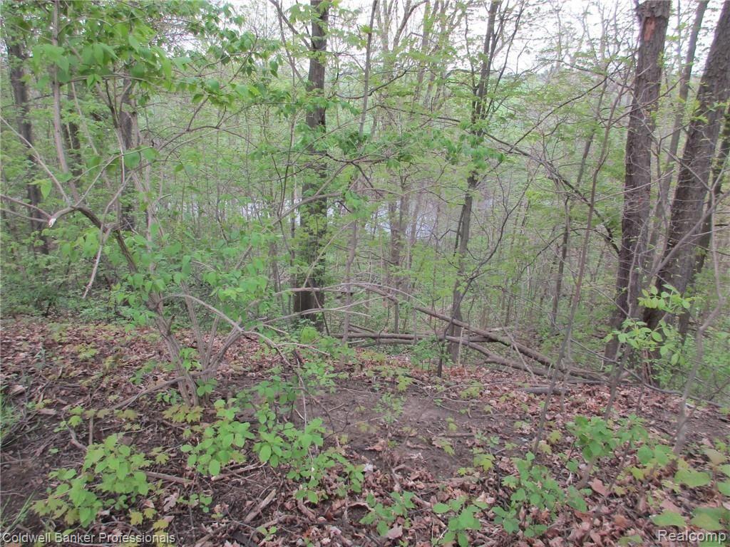 0 Mill & Newburg Road Bancroft, MI 48414 - Photo 6 of 12 Gallery Image 6
