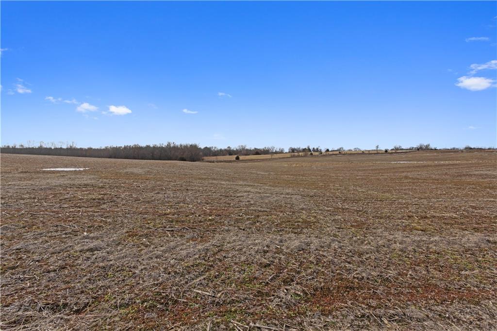 Lot 2 Quinn Road Trimble, MO 64492 - Photo 8 of 16