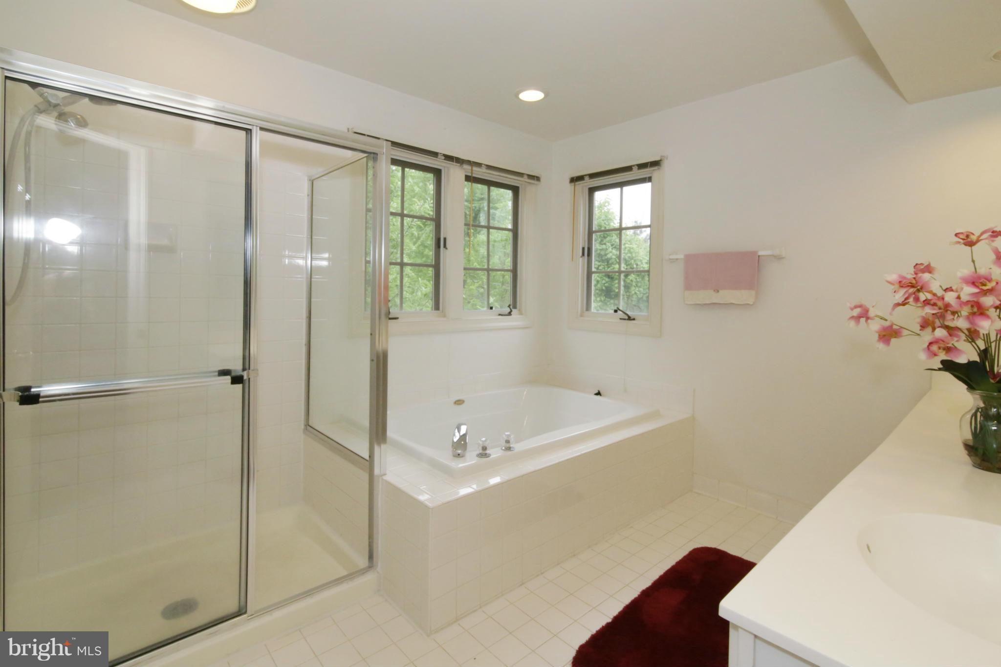 5483 Ashleigh Road Fairfax, VA 22030 - Photo 18 of 30 a bathroom with a tub a sink and mirror