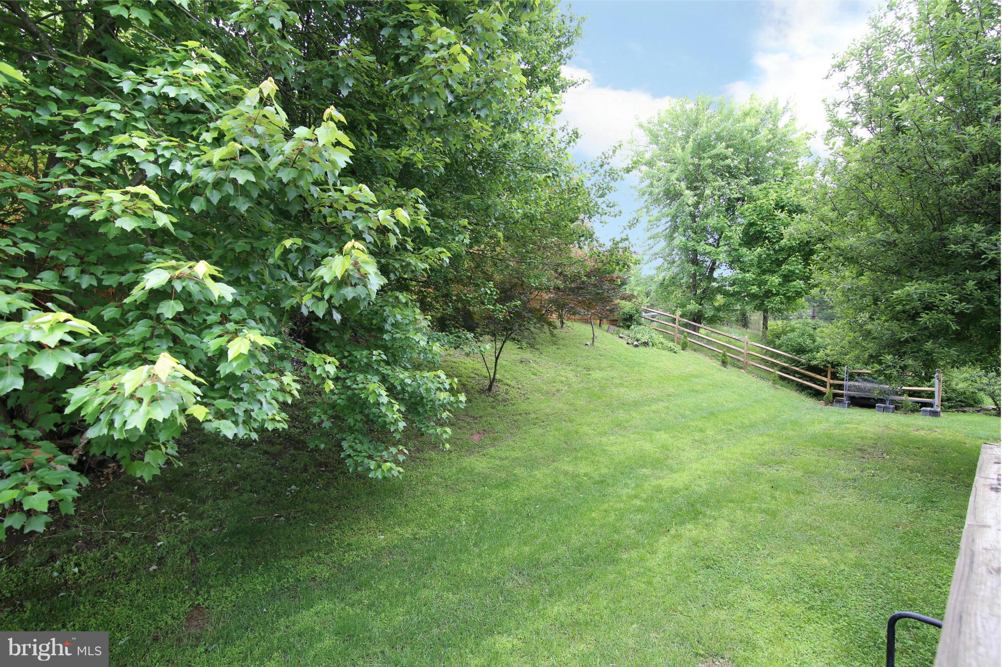 5483 Ashleigh Road Fairfax, VA 22030 - Photo 28 of 30 a big yard with lots of green space and plants