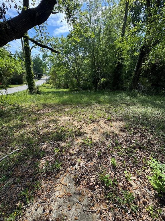 1401 Pershing Street High Point, NC 27260 - Photo 2 of 3