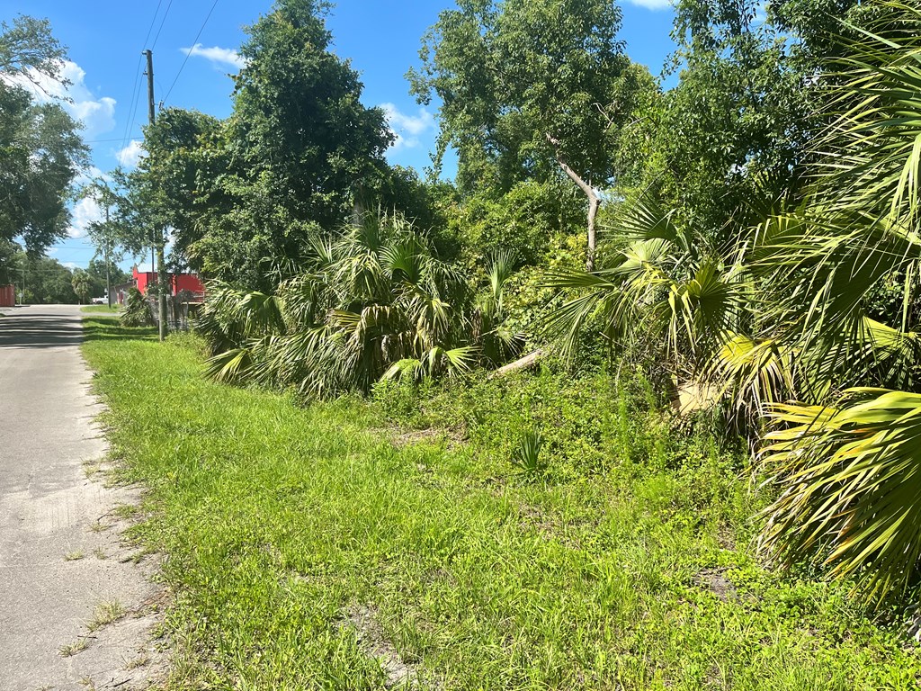 0 Faulkner Street Perry, FL 32347 - Photo 4 of 6