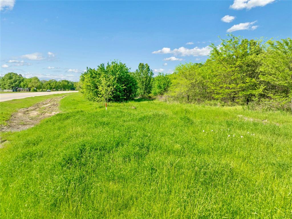 286 Southwest Loop 286 Paris, TX 75460 - Photo 15 of 17 a backyard of a house with lots of green space and outdoor seating