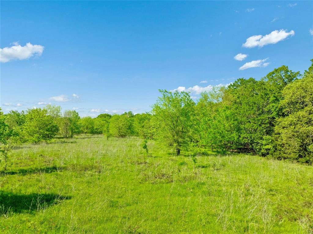 286 Southwest Loop 286 Paris, TX 75460 - Photo 10 of 17 a view of yard with green space
