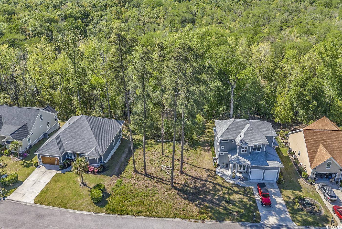 246 Rivers Edge Drive Conway, SC 29526 - Photo 2 of 14