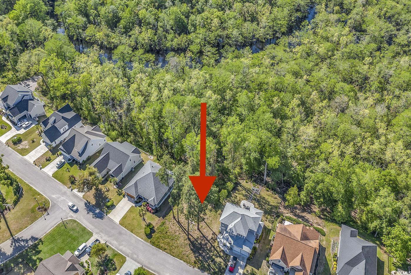 246 Rivers Edge Drive Conway, SC 29526 - Photo 3 of 14