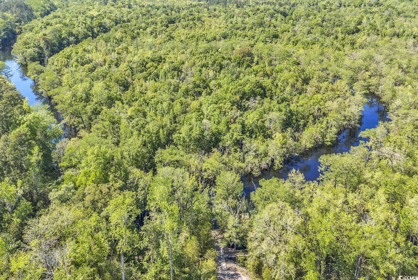 246 Rivers Edge Drive Conway, SC 29526 - Photo 8 of 14