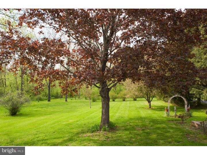 3050 Cooks Creek Road Riegelsville, PA 18077 - Photo 21 of 25 a backyard of a house with lots of green space
