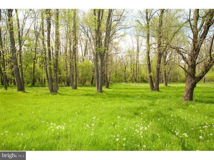 3050 Cooks Creek Road Riegelsville, PA 18077 - Photo 23 of 25 a view of yard with green space