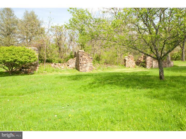 3050 Cooks Creek Road Riegelsville, PA 18077 - Photo 24 of 25 a view of yard with trees