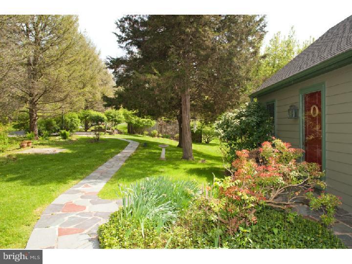 3050 Cooks Creek Road Riegelsville, PA 18077 - Photo 4 of 25 a view of yard with green space