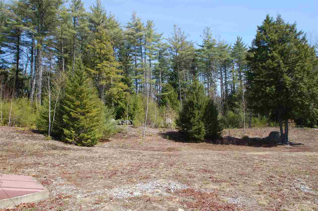 353 Old Coach Road New Boston, NH 03070 - Photo 21 of 21