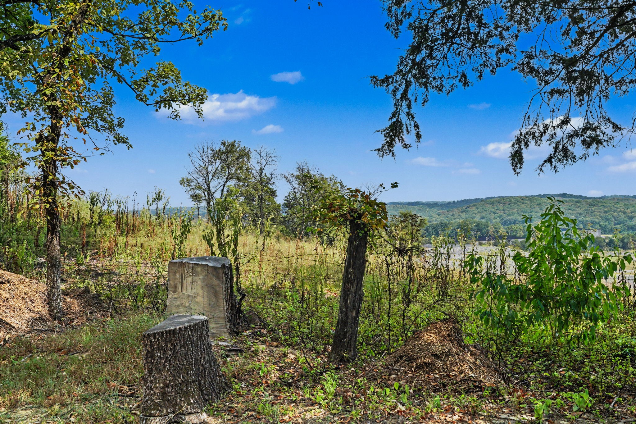 53 Cecil Johnson Road Mulberry, TN 37359 - Photo 44 of 48 Gallery Image 44