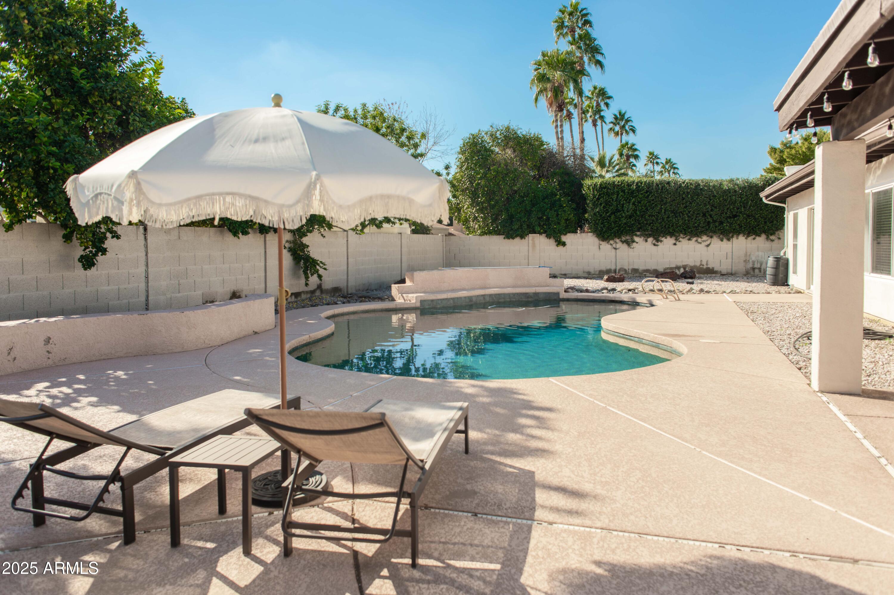 7551 East Gold Dust Avenue Scottsdale, AZ 85258 - Photo 6 of 19 Back yard