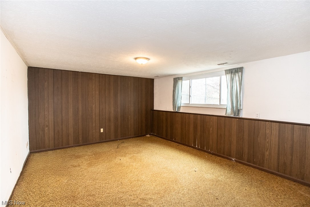 14358 Prospect Road Strongsville, OH 44149 - Photo 22 of 35 Unfurnished room featuring wood walls, light carpet, and a textured ceiling