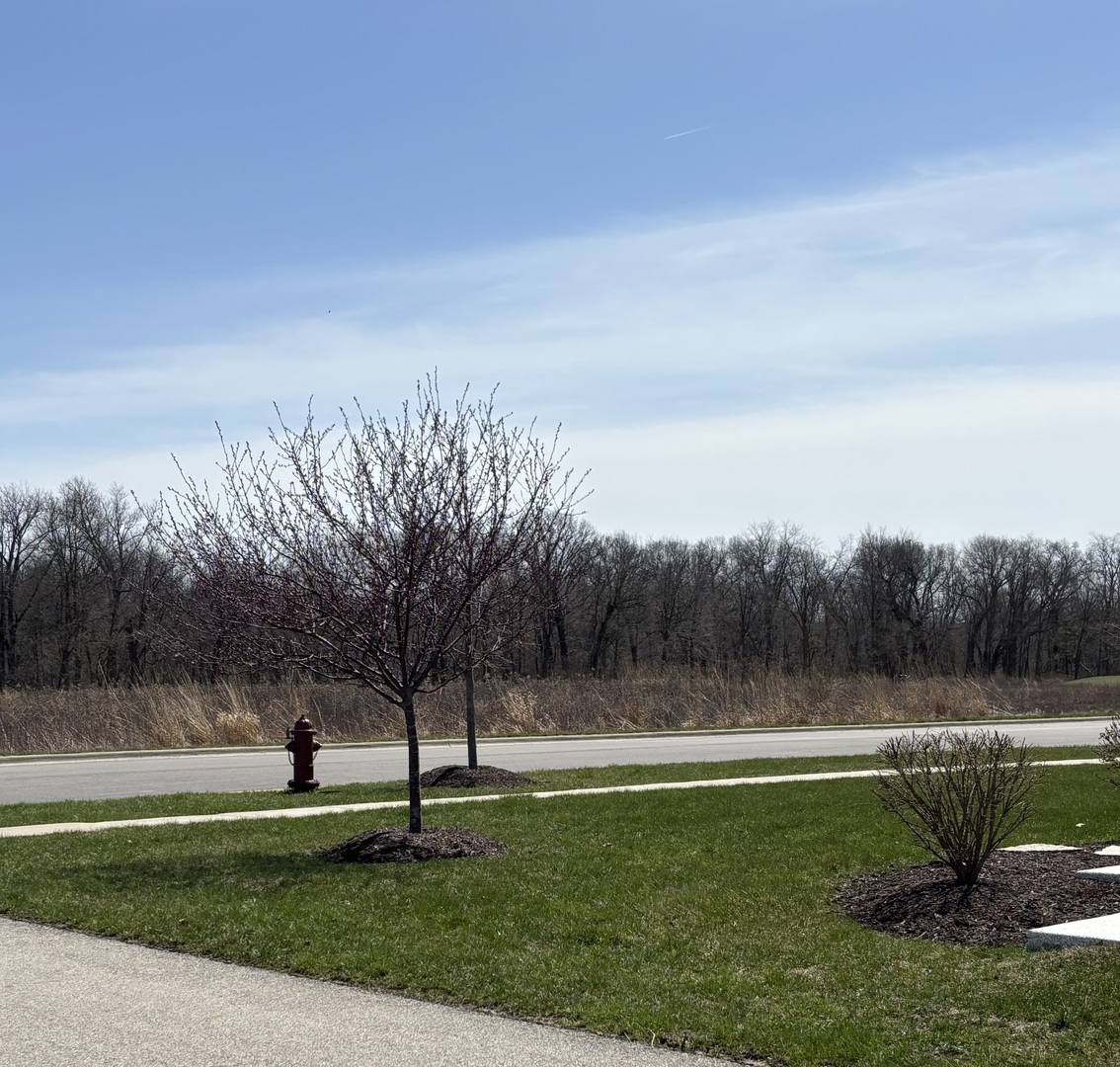 408 Stearn Drive, Unit 408 Genoa, IL 60135 - Photo 29 of 34 a view of a backyard