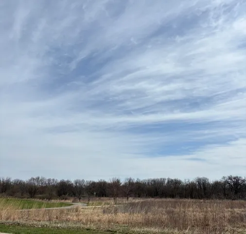 a view of a yard and trees