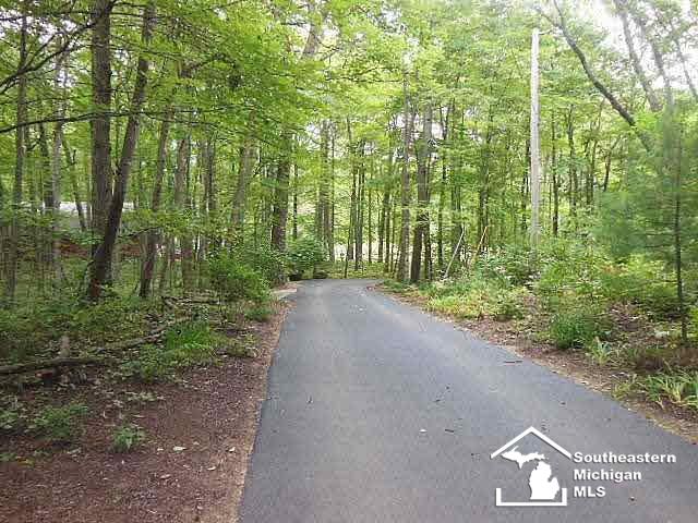 12499 Timber Ridge Trail Ida, MI 48140 - Photo 8 of 25 20447552-7.JPG