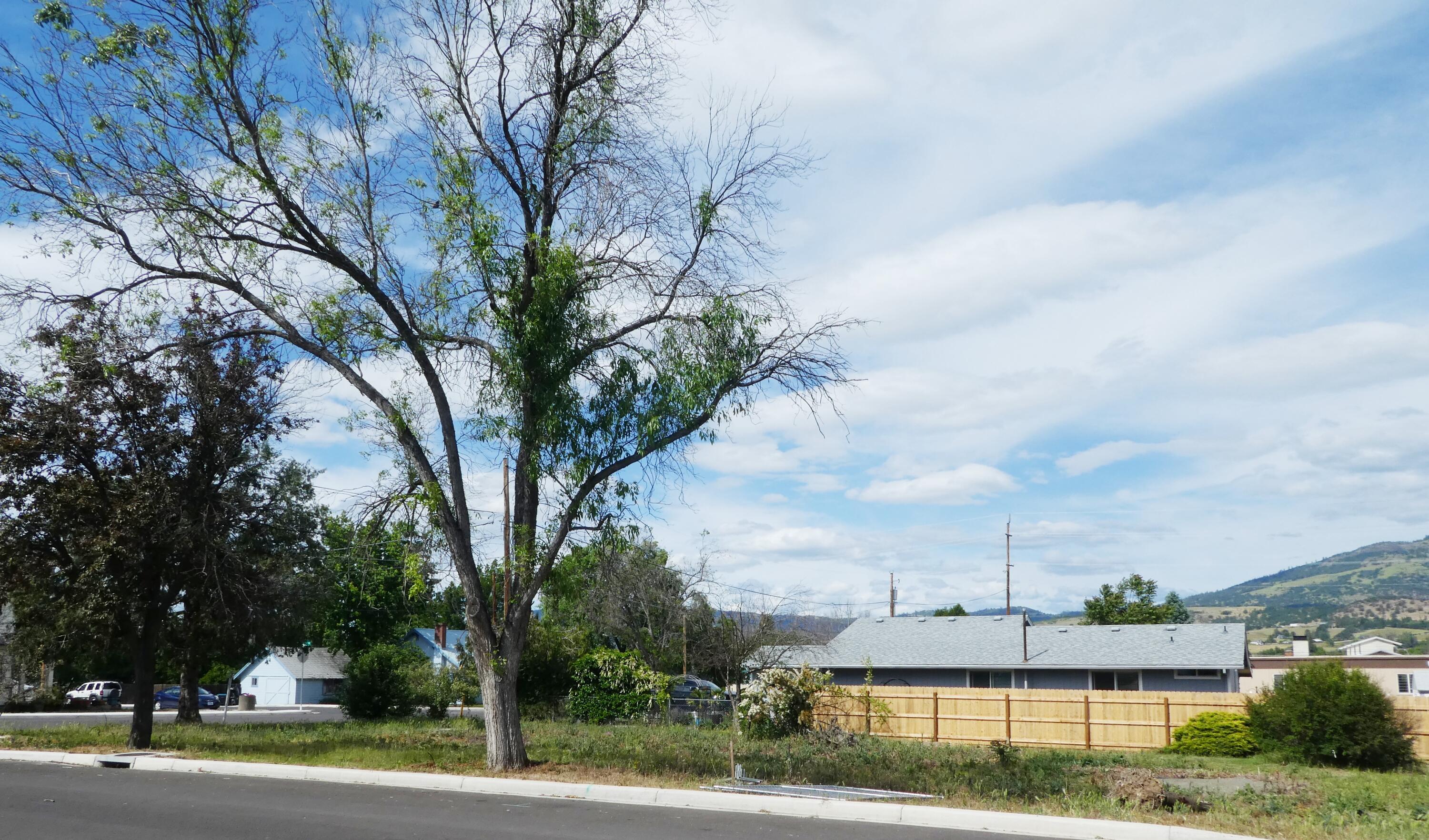 115 West 3rd Street Phoenix, OR 97535 - Photo 5 of 5 5-Side View